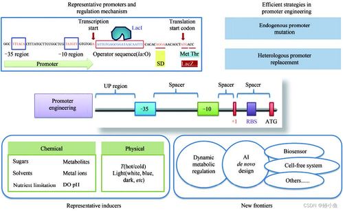 傳統行業與人工智能融合 材料、化學、物理、生物的發展與未來展望