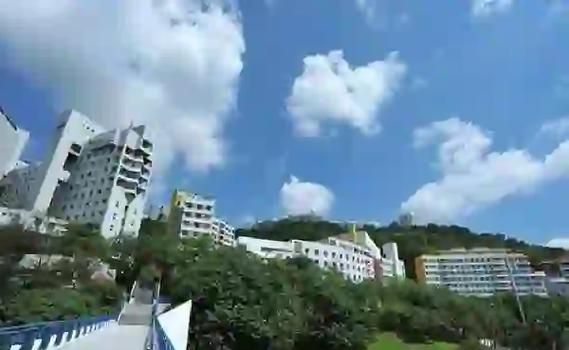 2022年出國(guó)留學(xué)，這些中介值得考慮